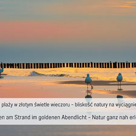 Nowy Z Balkonem Blisko Morza -